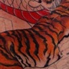 Dragon Tiger