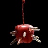 Apple Oven