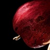 When The Bough Breaks (detail)