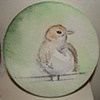 Sparrow