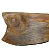 Black Swallower