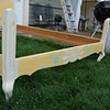 Yellow Folk Art Bed 