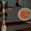 Fox Bed