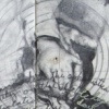 Don Quixote