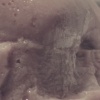 simulacara/simulacrum (revisited)