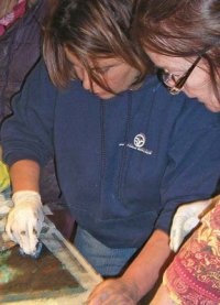 Mosaics Clinic