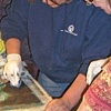 Mosaics Clinic