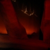Antigone