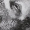 Portrait of James Reclining