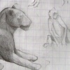Two Monkeys, Leppard Sans Spots, and Some Birds