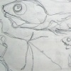 Fish and Bone Structures