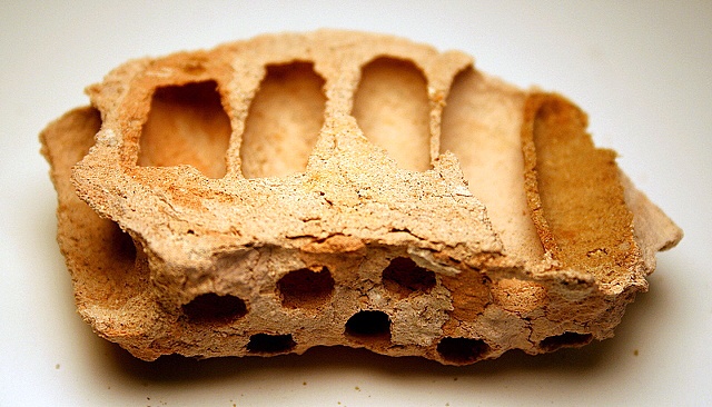 Mud Dauber Nest (unglazed)