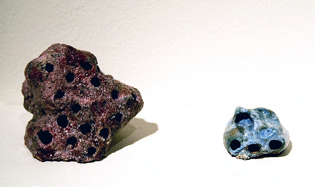 mud dauber nests
