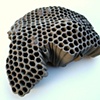 Braille Wasp Nests
DeLand, FL