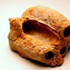 Mud Dauber Nests
DeLand, FL
2008