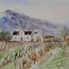 Landscapes & Still Lifes