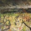 Vineyard