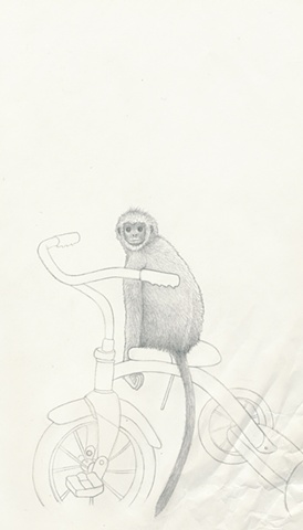 tricycle monkey