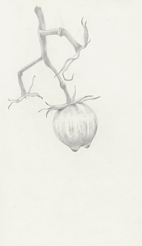 heirloom