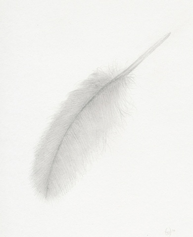 feather
