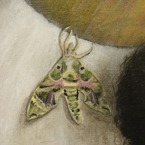 nocturnal bliss (detail)