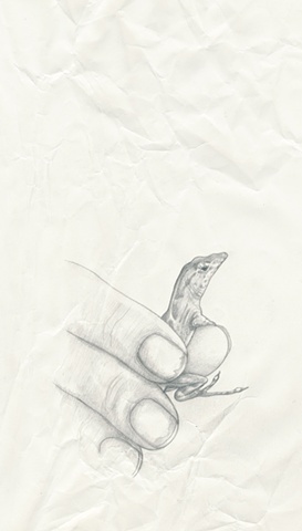lizard