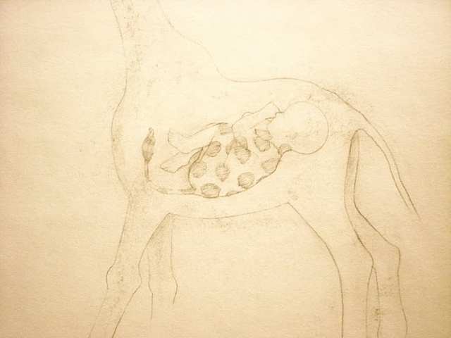 half giraffe
