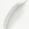 feather