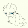 slunny