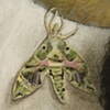 nocturnal bliss (detail)