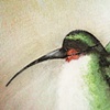rustling cloak (detail)