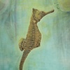 first kiss (detail)