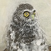 the morning mix (detail)