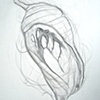 cocoon