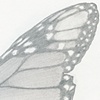 single wing