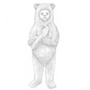bear boy