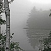 Fog