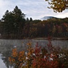 Fall Mist Rising