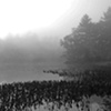 Enshrouded