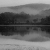 Morning Mist