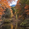 The Magic of Fall