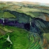 Westbury Landscape
