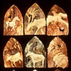 Animal Tarot - cards