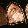 Animal Tarot - Box