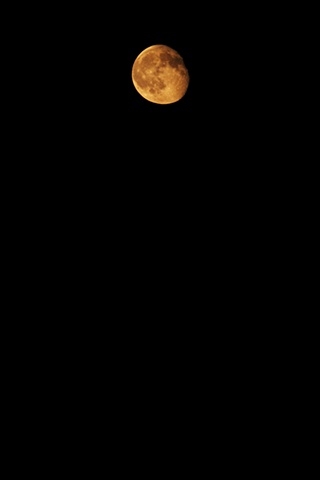 Shoot the moon