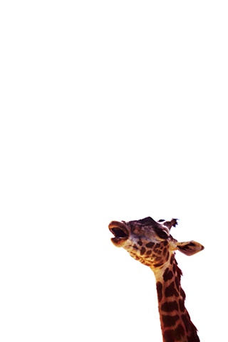 not tall enough