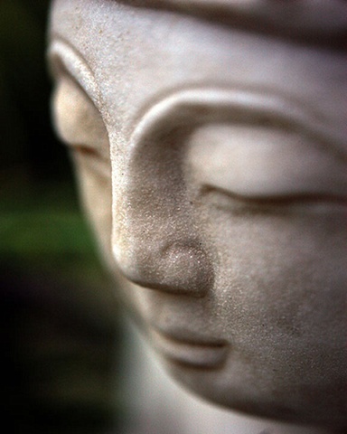 Buddah Baby