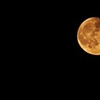 Shoot the moon