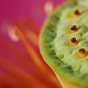 Delicious