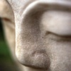 Buddah Baby